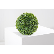 Sempreverde® Greenball Camargue dimensioni 23x23cm Tipo di foglia rosa