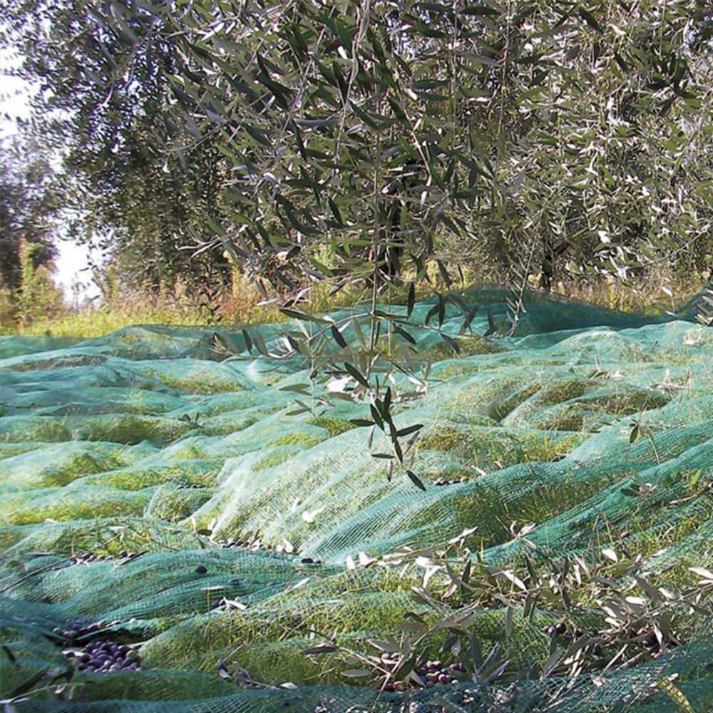 reti per la raccolta delle olive