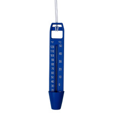 Termometro 25cm