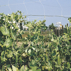 Rete Rampy rotoli dimensioni 2x100