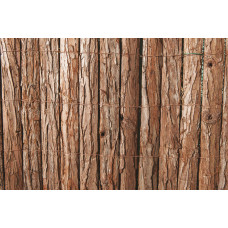 Arella Wood