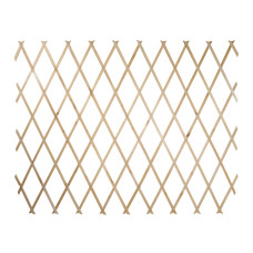 Traliccio estensibile in Legno colore naturale dimensioni 100x200, colore naturale