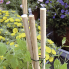 Flower Stick confezione da 15 altezza 50cm, naturale