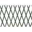 Traliccio estensibile in Legno verde dimensioni 100x300, colore verde